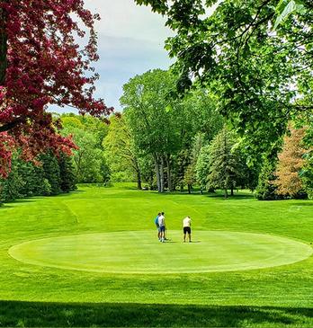 Three golfers golfing at East Park Golf Gardens on a bright summer day