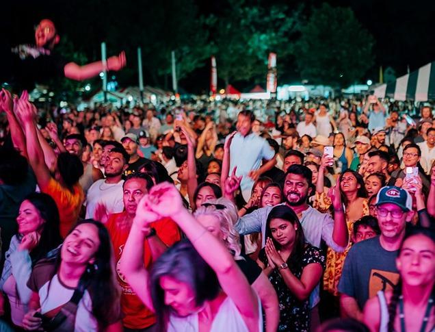 Lively crowd dancing outdoors under the moonlight and strobe lights