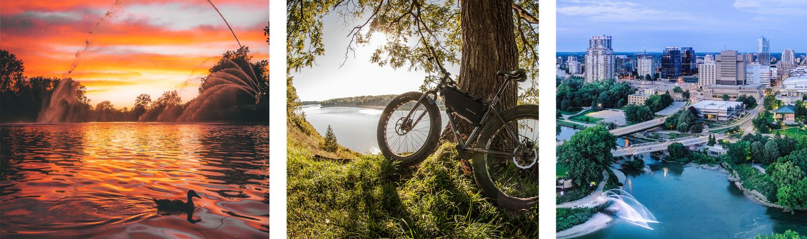 a duck in a river and a bike leaning against a tree and the forks of the thames river
