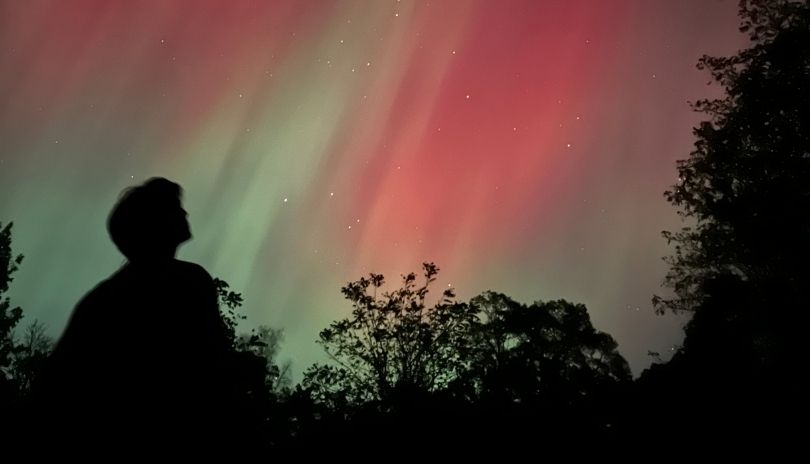 Person staregazes and sees the Northern Lights in London, Ontario.