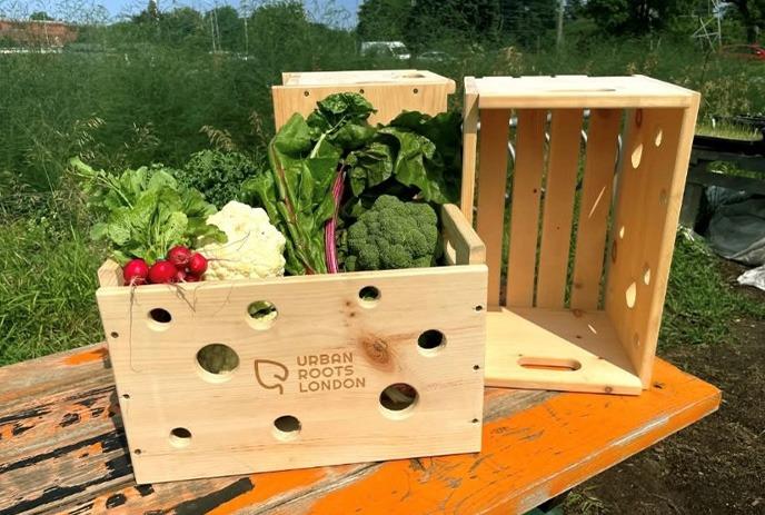 Urban Roots London Farm Overview